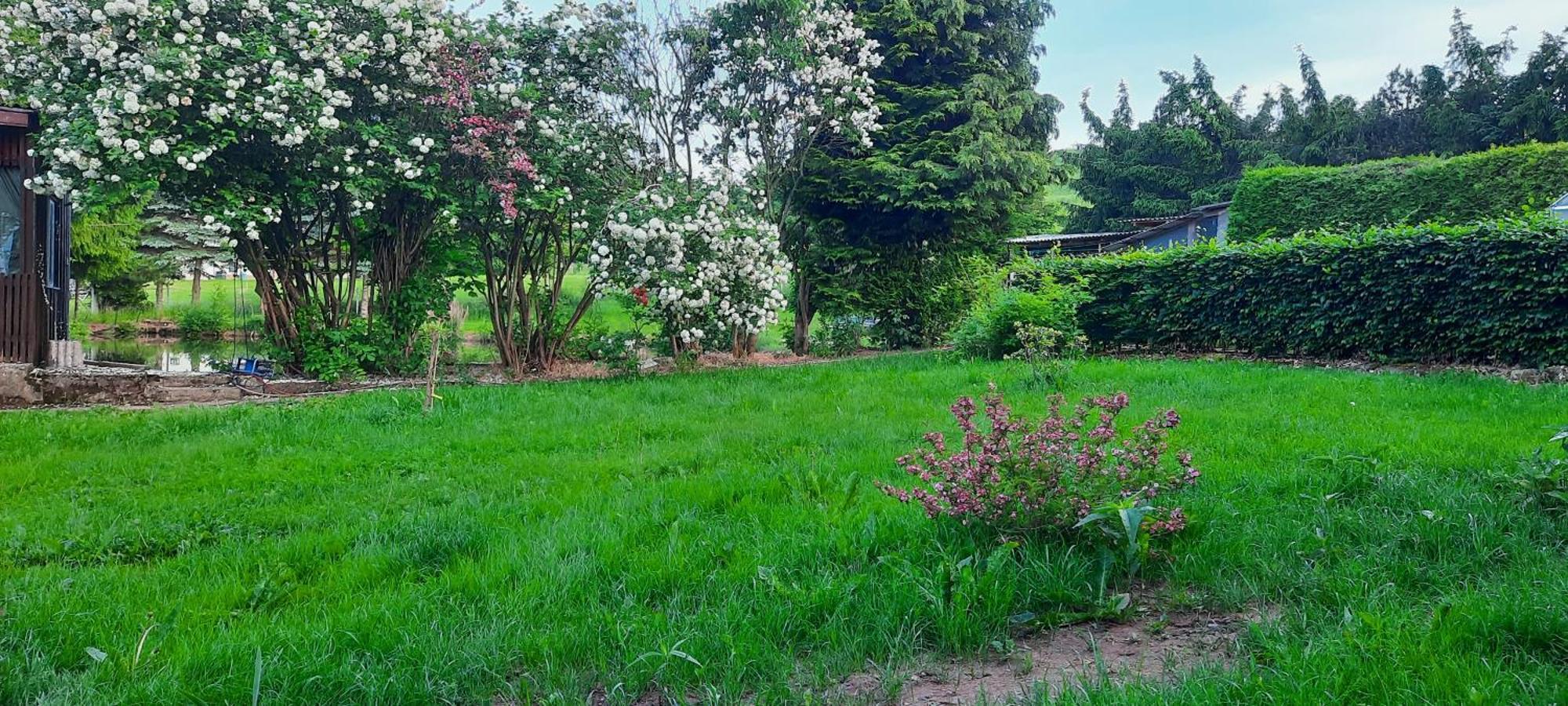 Apartment Zum Jagdsteinblick *